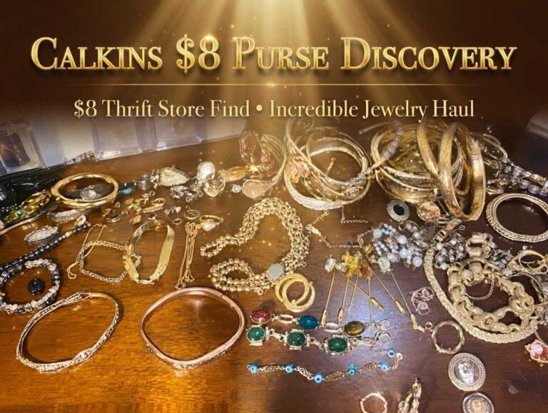 Calkins $8 Purse Discovery
